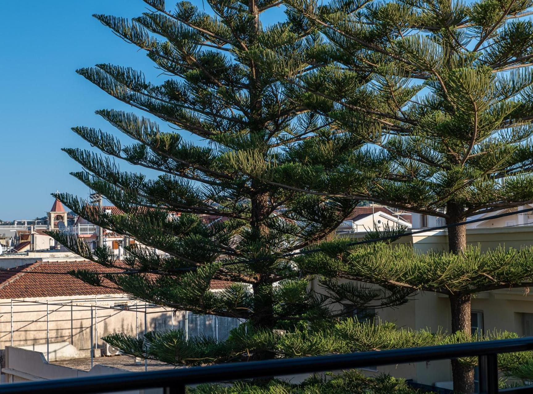 Alimar Apartment Argostoli  Exterior foto